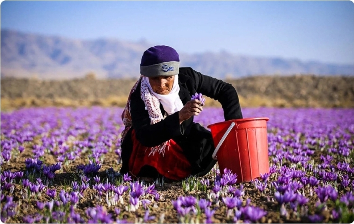 فعالیت حدود ۱۰.۵ میلیون زن بهره&zwnj;بردار عشایری در کشور