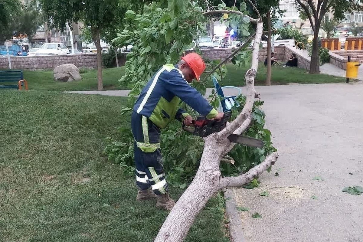 خدمت‌رسانی بیش از ۷۰۰ نفر از پرسنل خدمات شهری شهرداری مشهد در پی وزش باد‌های شدید ۲۷ اردیبهشت‌ماه