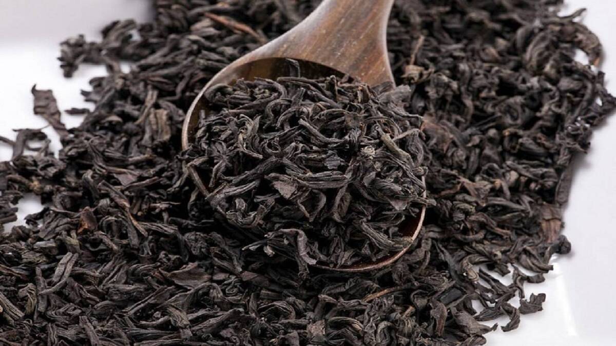مجوز مشروط صادرات چای ابلاغ شد (۲۹ اردیبهشت ۱۴۰۵)