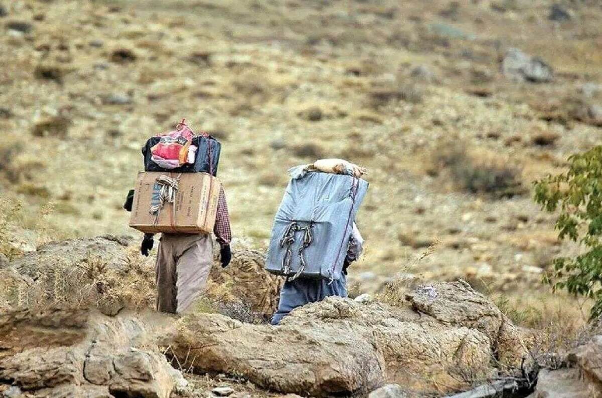 مجوز واردات مواد اولیه پتروشیمی و پلیمری از طریق ملوانی و کولبری صادر شد