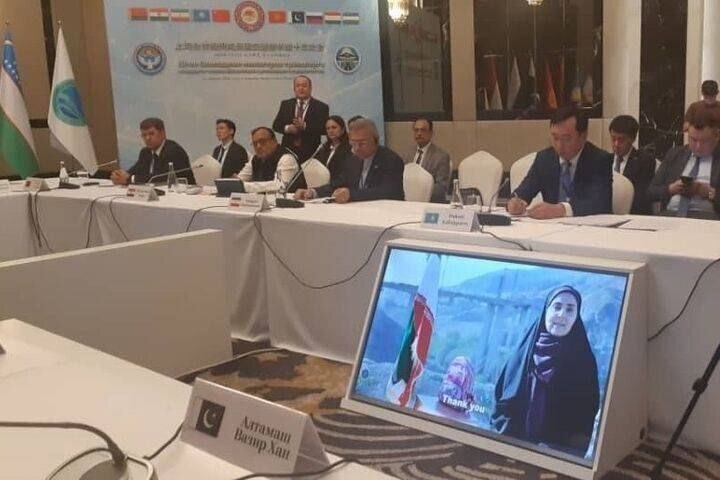 حضور برخط ایران در اجلاس وزرای راه شانگهای | صادق مالواجورد در کنار پل B1 با همتایان حاضر در نشست گفت و گو کرد
