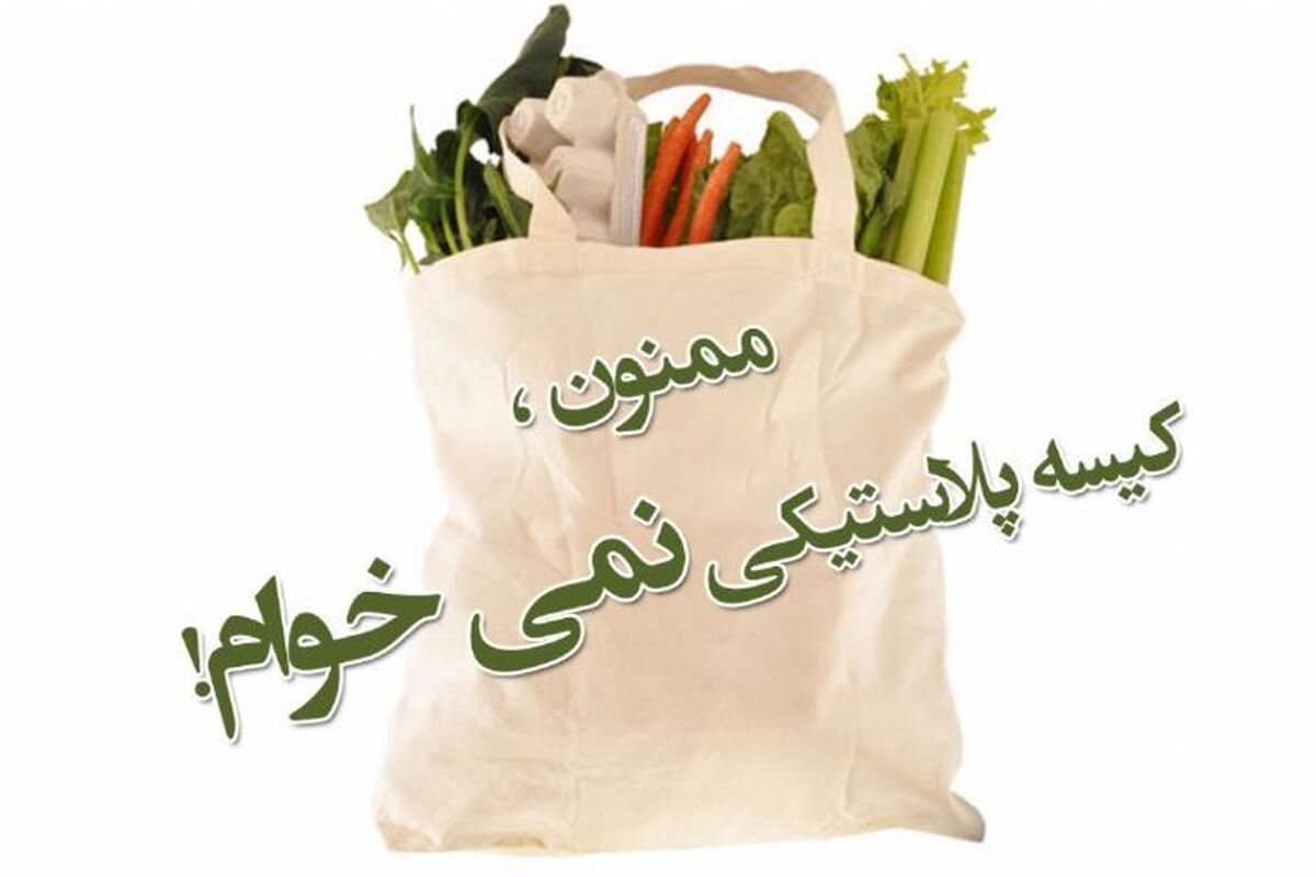 درخواست همراهی از عموم مردم در دوران پساجنگ | از کیسه&zwnj;ها و مواد پلاستیکی کمتر استفاده کنیم