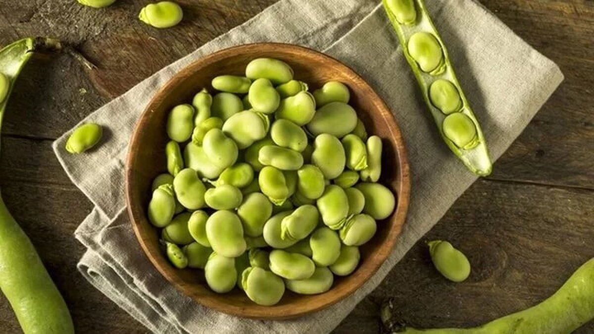 خانه داری| با راه و روش&zwnj;های خشک کردن باقالی سبز بیشتر آشنا شویم