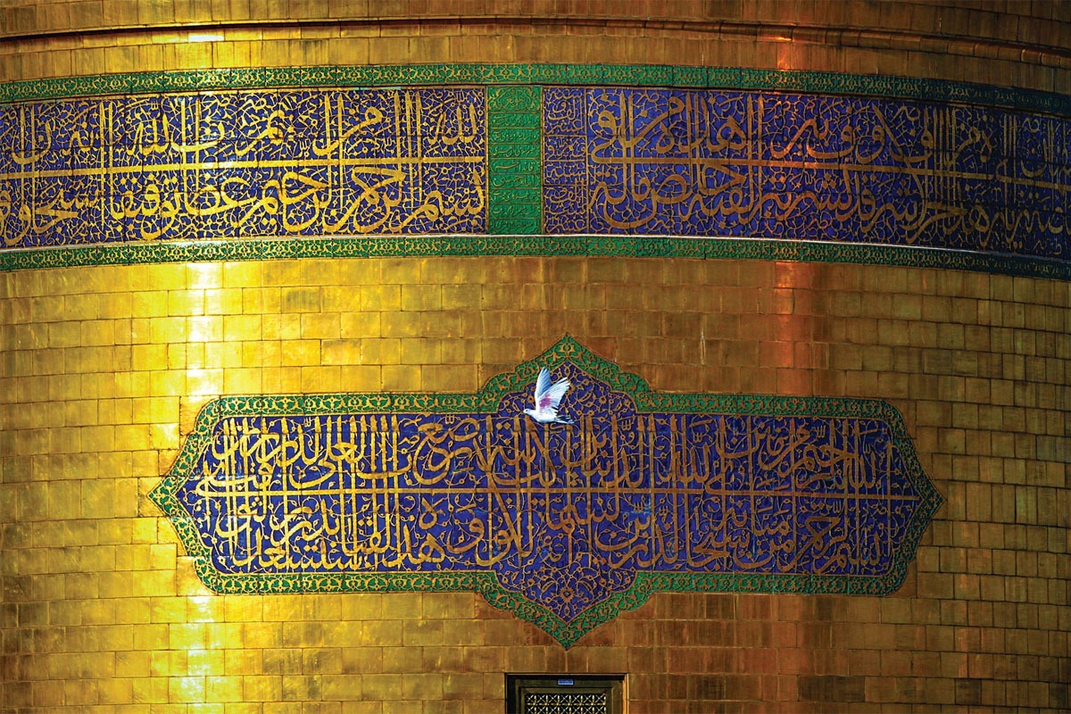 اوج گرفتن با بال سرخ
