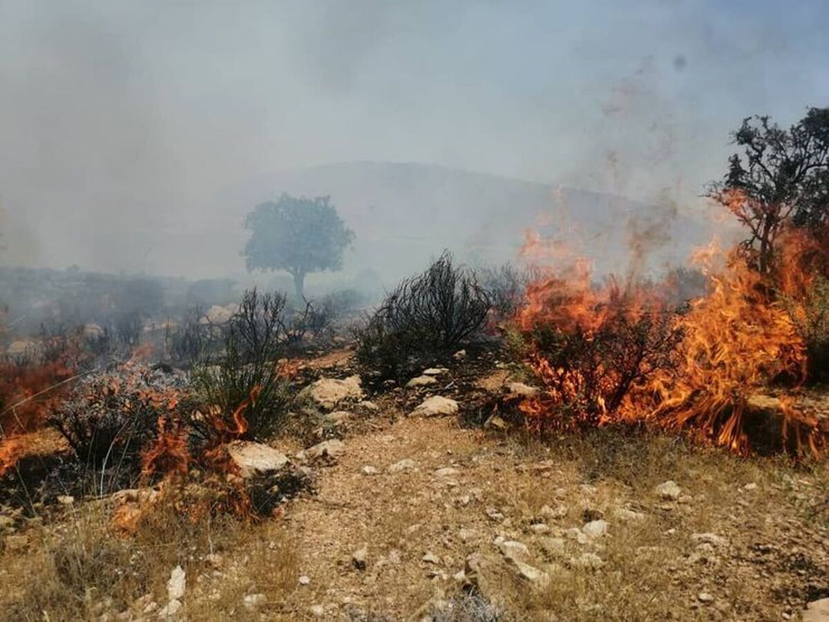 آتش&zwnj;سوزی در مزارع روستای &laquo;چارمه&raquo; شهرستان کهگیلویه خاموش شد (۱۱ خرداد ۱۴۰۵)