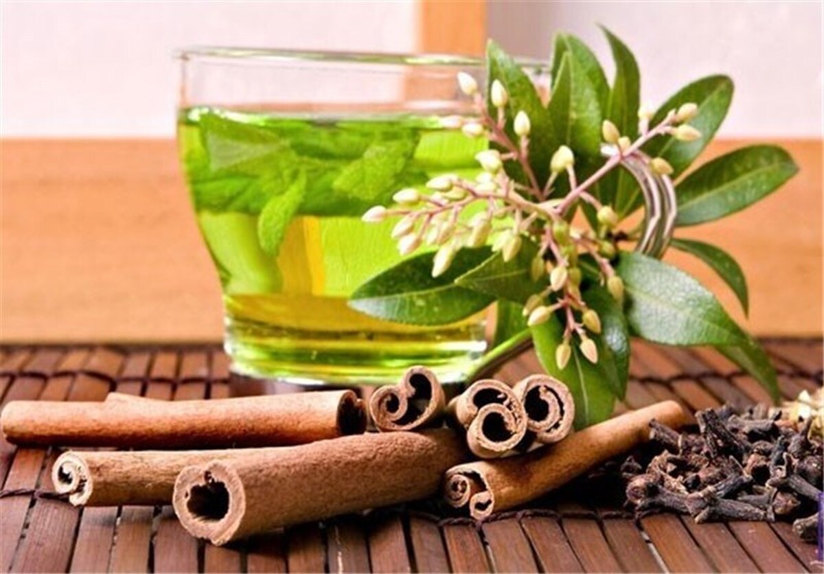 تدابیر طب ایرانی برای کاهش آسیب‌های ناشی از دخانیات