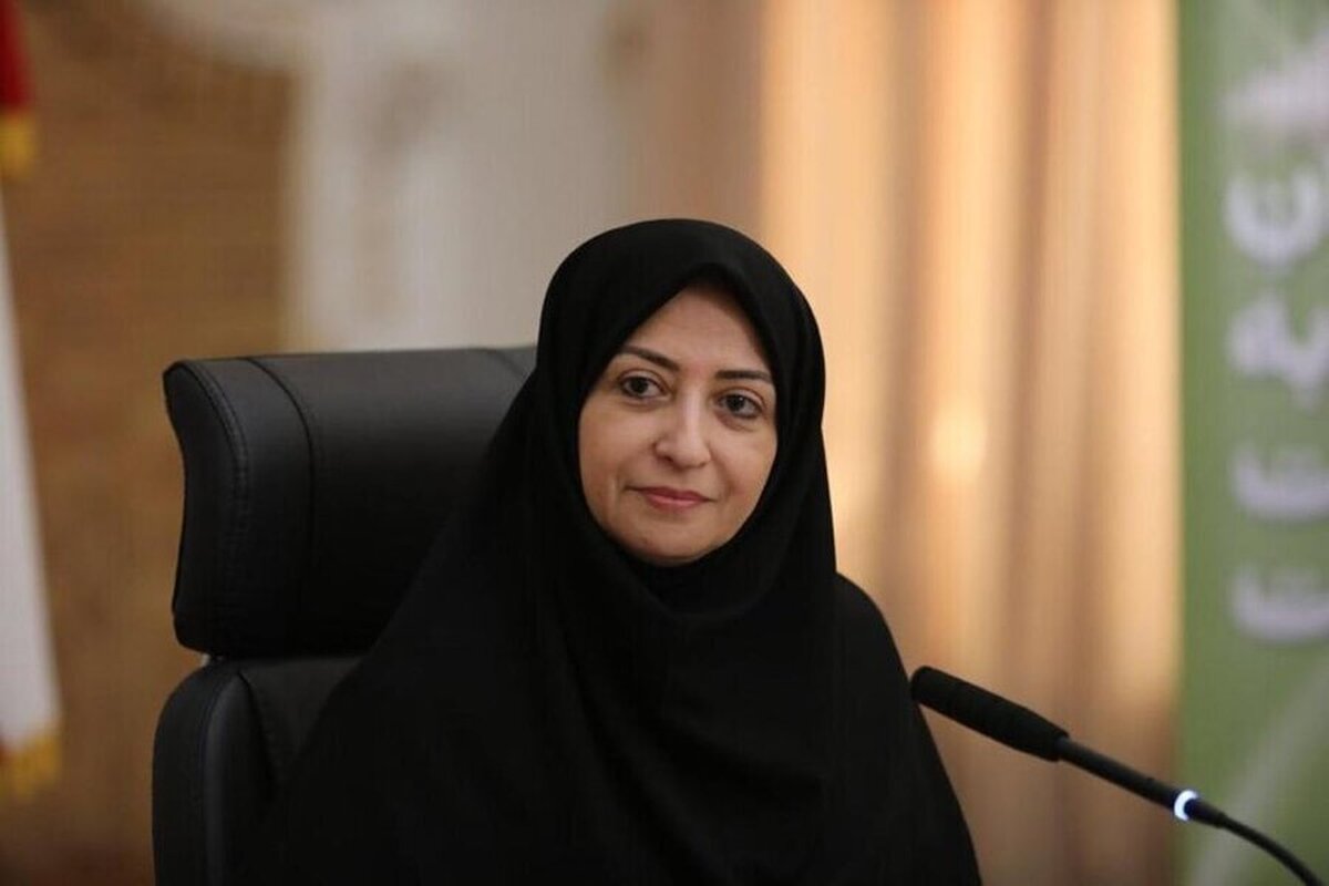 انصاری: حفاظت از محیط&zwnj;زیست ضرورتی راهبردی برای توسعه پایدار و امنیت ملی است