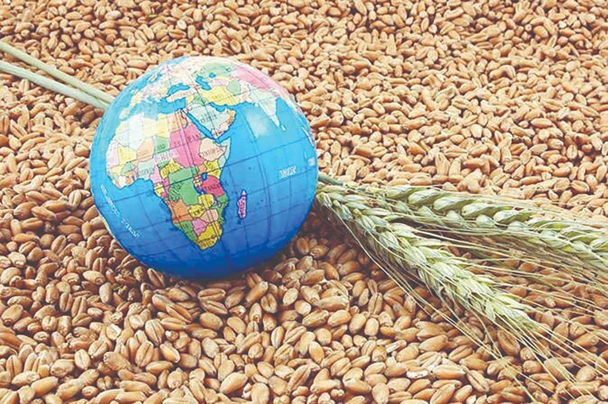 فائو: افزایش ۳ درصدی قیمت موادغذایی در جهان | پیش&zwnj;بینی کاهش تولید غلات در سال آینده