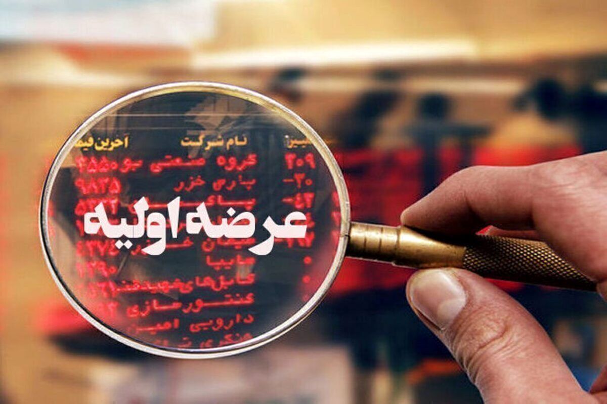 دوشنبه منتظر سومین عرضه اولیه امسال باشید (۱۸ خرداد ۱۴۰۵) + جزئیات نقدینگی