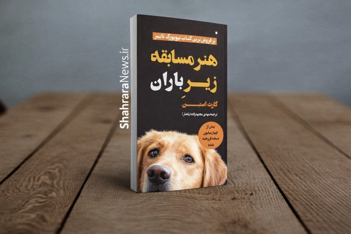 &laquo;هنر مسابقه زیر باران&raquo; به بازار  کتاب رسید | روایت زندگی از چشم&zwnj;های یک سگ
