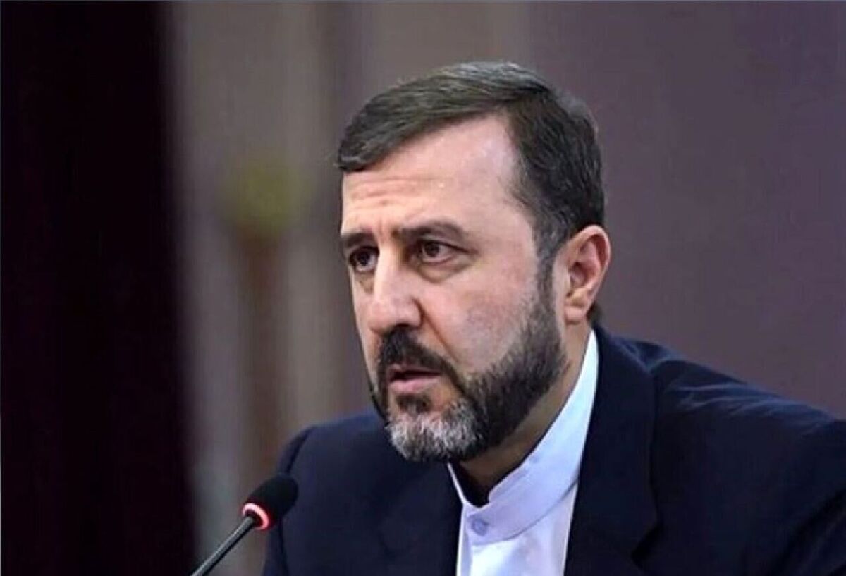 غریب&zwnj;آبادی: شورای حکام نباید محل سفیدشویی تجاوز نظامی شود