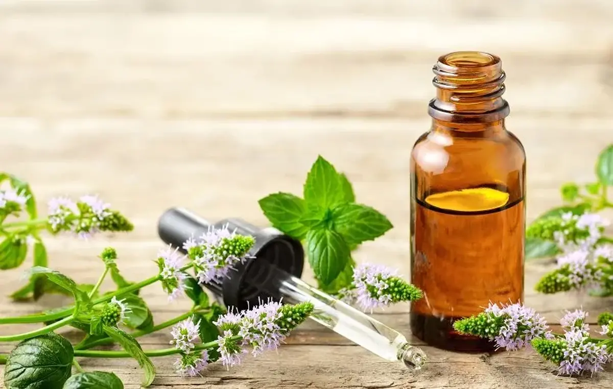 درمان طبیعی فشار خون با روغن نعنا | چرا روغن نعنا فلفلی مؤثر است؟