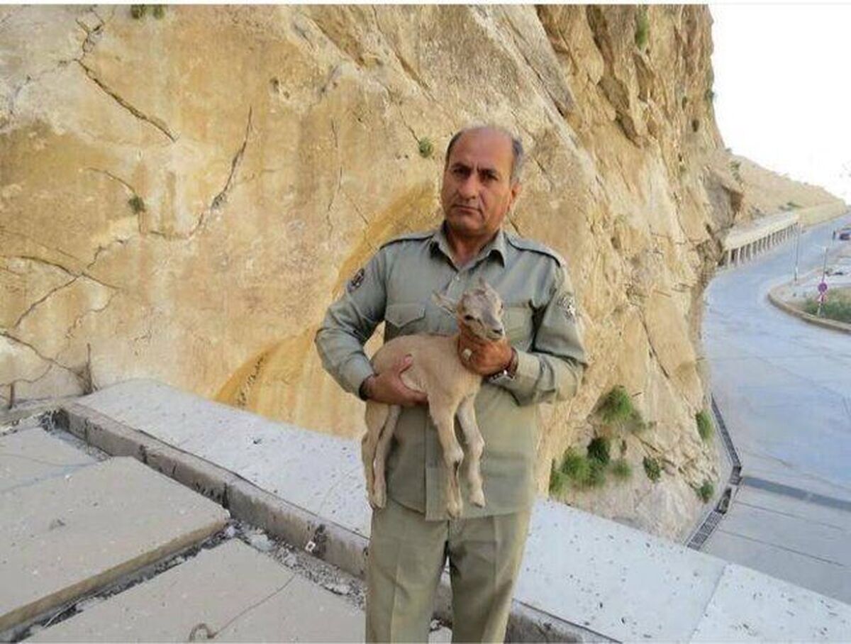 احراز شهادت محیط&zwnj;بان هدایت الله دیده&zwnj;بان