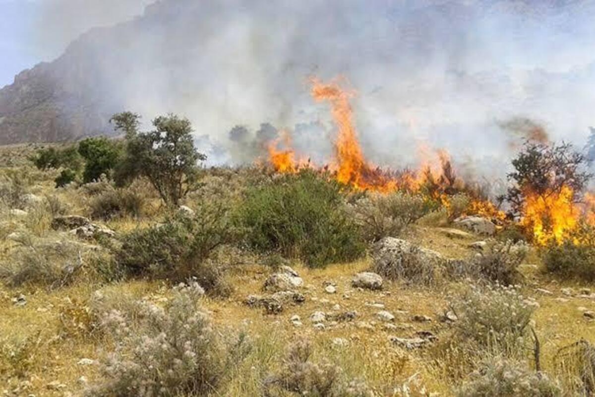 کاهش ۵۰درصدی آتش سوزی در منابع طبیعی خراسان رضوی