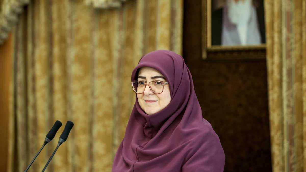 مهاجرانی در سالگرد آغاز جنگ ۱۲ روزه: میدان و دیپلماسی در کنار هم از ایران دفاع می&zwnj;کنند
