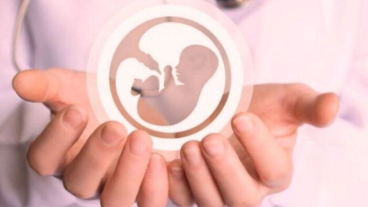 آموزش و پیشگیری، عوامل اساسی در کاهش سقط جنین