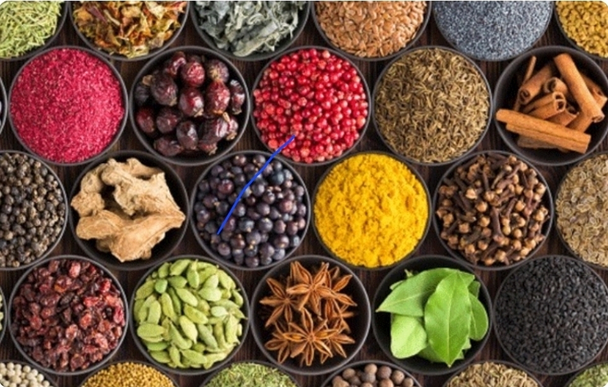 خانه داری| بهترین زمان ریختن ادویه در غذا چه زمانی است؟