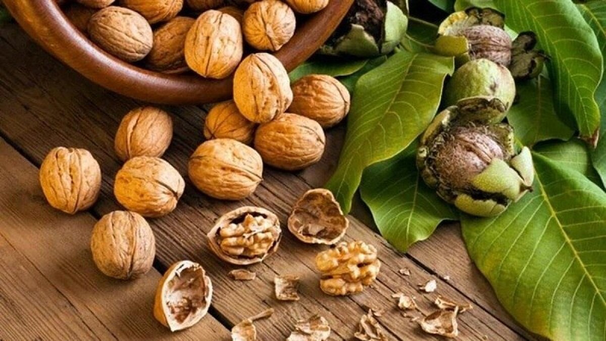 چرا باید گردو را به برنامه روزانه اضافه کنیم؟