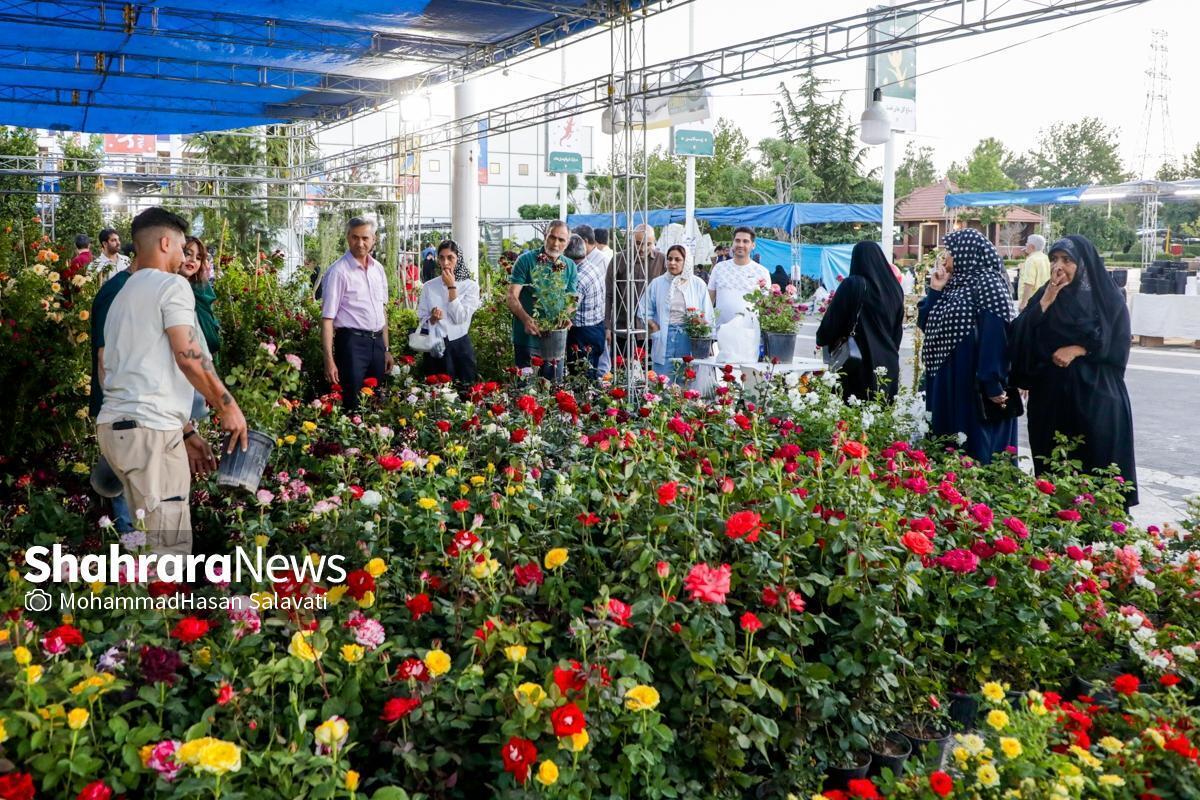 نمایشگاه گل وگیاه مشهد ۱۴۰۵ | گل برای بازدیدکنندگان ارزان و برای تولیدکنندگان گران است + فیلم