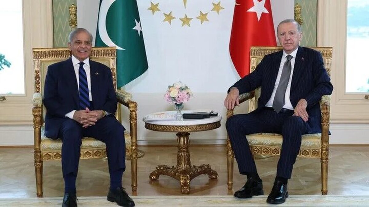 اردوغان و شهباز شریف در استانبول دیدار کردند
