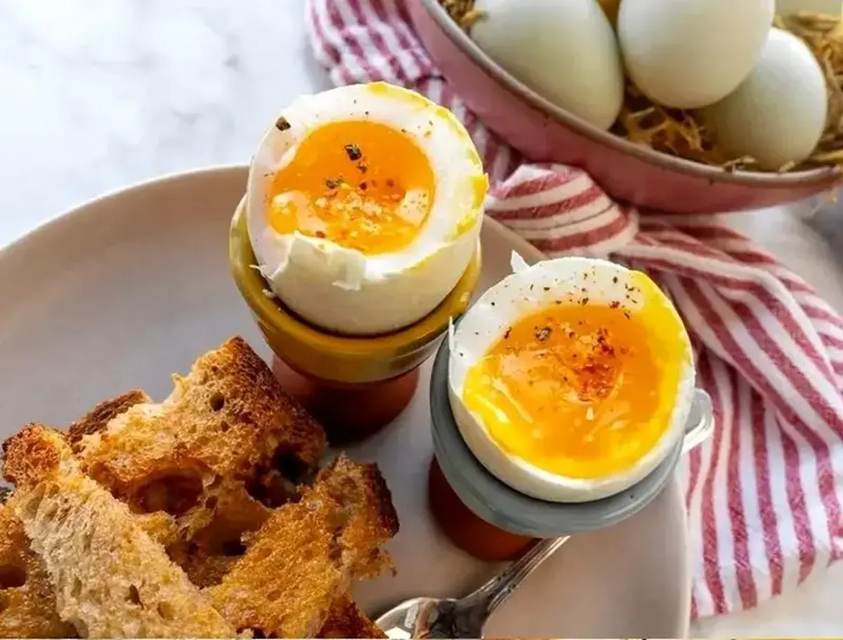آیا خوردن تخم&zwnj;مرغ در دوران بارداری بی&zwnj;خطر است؟ | زنان باردار روزانه چند تخم&zwnj;مرغ می&zwnj;توانند بخورند؟