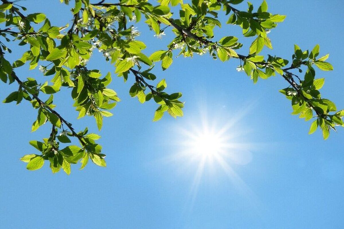 دمای بیش از ۴۰ درجه در ۱۰ شهر خراسان رضوی ثبت شد (۲۶ تیر ۱۴۰۵)