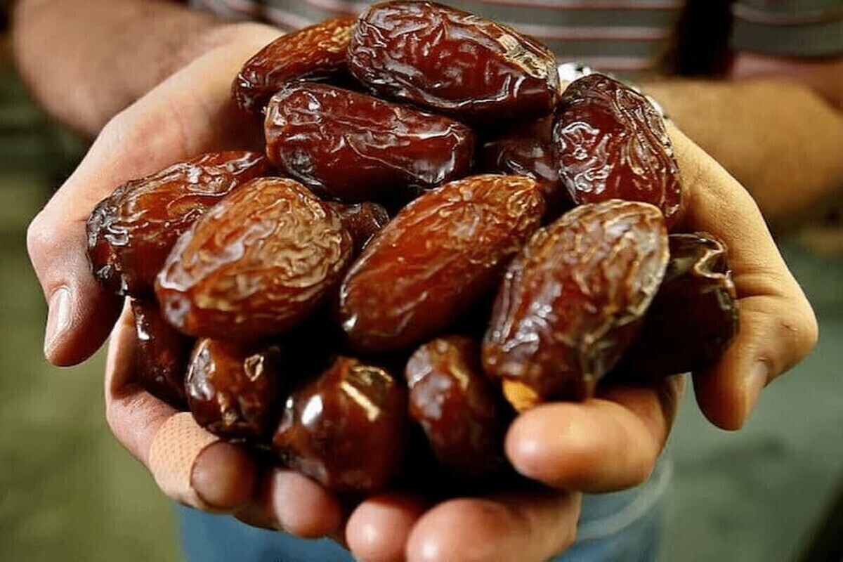 ممنوعیت صادرات خرما لغو شد (۲۸ تیر ۱۴۰۵)