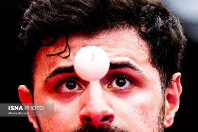 گزارش تصویری | فینال مسابقات لیگ برتر تنیس روی میز
