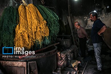 گزارش تصویری | آخرین بازمانده رنگرزی گیاهی در کردستان