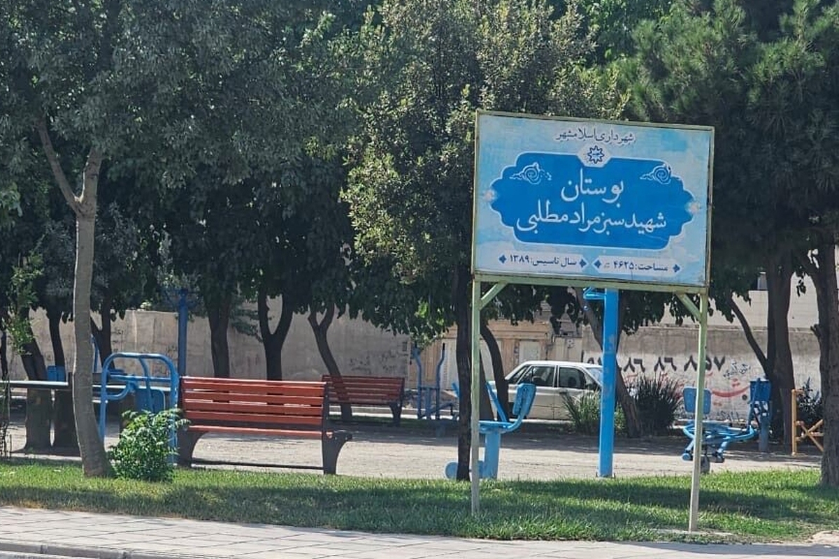 علت مرگ تلخ دلسای ۷ ساله در پارک اسلامشهر چه بود؟ + جزئیات