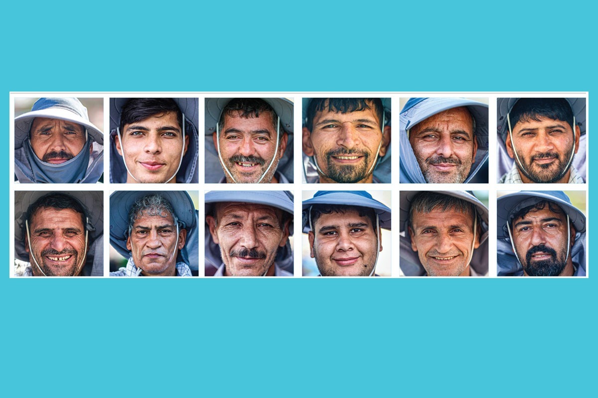 چهره‌هایی به رنگ فیروزه