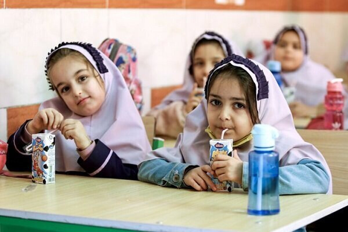 «تغذیه رایگان» جایگزین برنامه «شیر مدارس» شد | انتخاب ۴ قلم غذایی مغذی