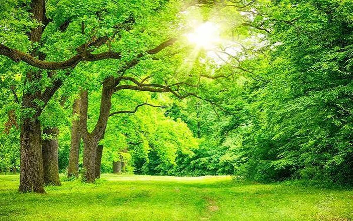چرا تابستان فصل محبوب میکروب‌هاست؟
