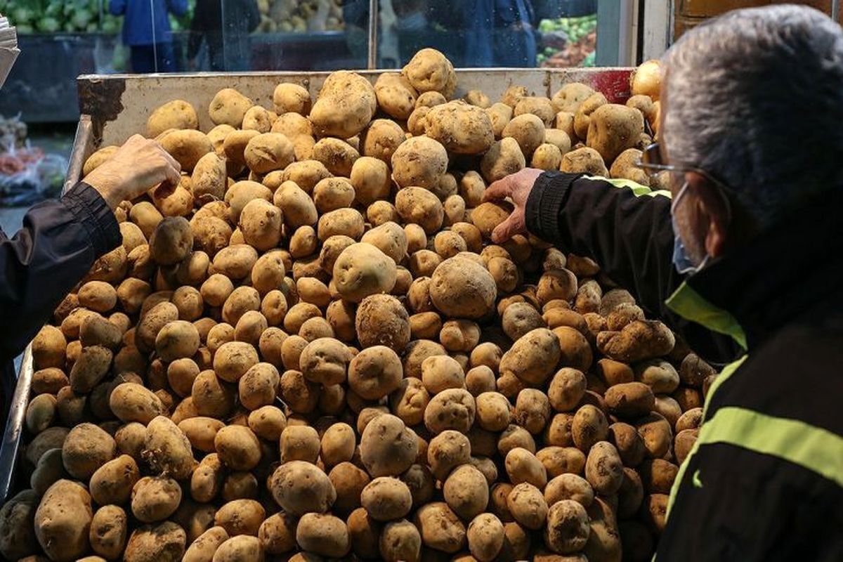 نوسان قیمت صیفی&zwnj;جات در بازار مشهد | سیب&zwnj;زمینی و پیاز در صدر لیست کالا&zwnj;های پرمصرف (۱۵ مرداد ۱۴۰۵)