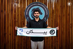 رسمی؛ رضا شکاری به پیکان پیوست