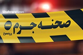 نقش خانم بلاگر تهرانی در قتل حمیدرضا رجب‌زاده چه بود؟