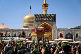 من آمدم به سوی حریمت، سلام شاه خراسان | روایت شهرآرانیوز از قیامت مشهدالرضا (ع) در روز شهادت ولی‌نعمت ایران + فیلم و تصاویر