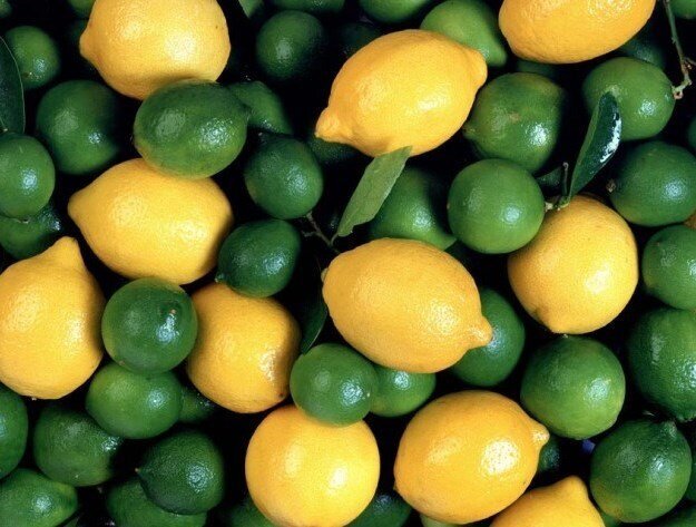 طرز تهیه لیمو عمانی خانگی؛ چاشنی اصیل ایرانی طرز تهیه لیمو عمانی خانگی؛ چاشنی اصیل ایرانی