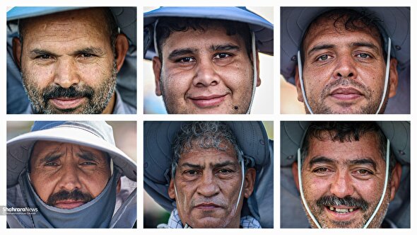 گزارش تصویری | خادمان فیروزه ای در خیابان های نجف