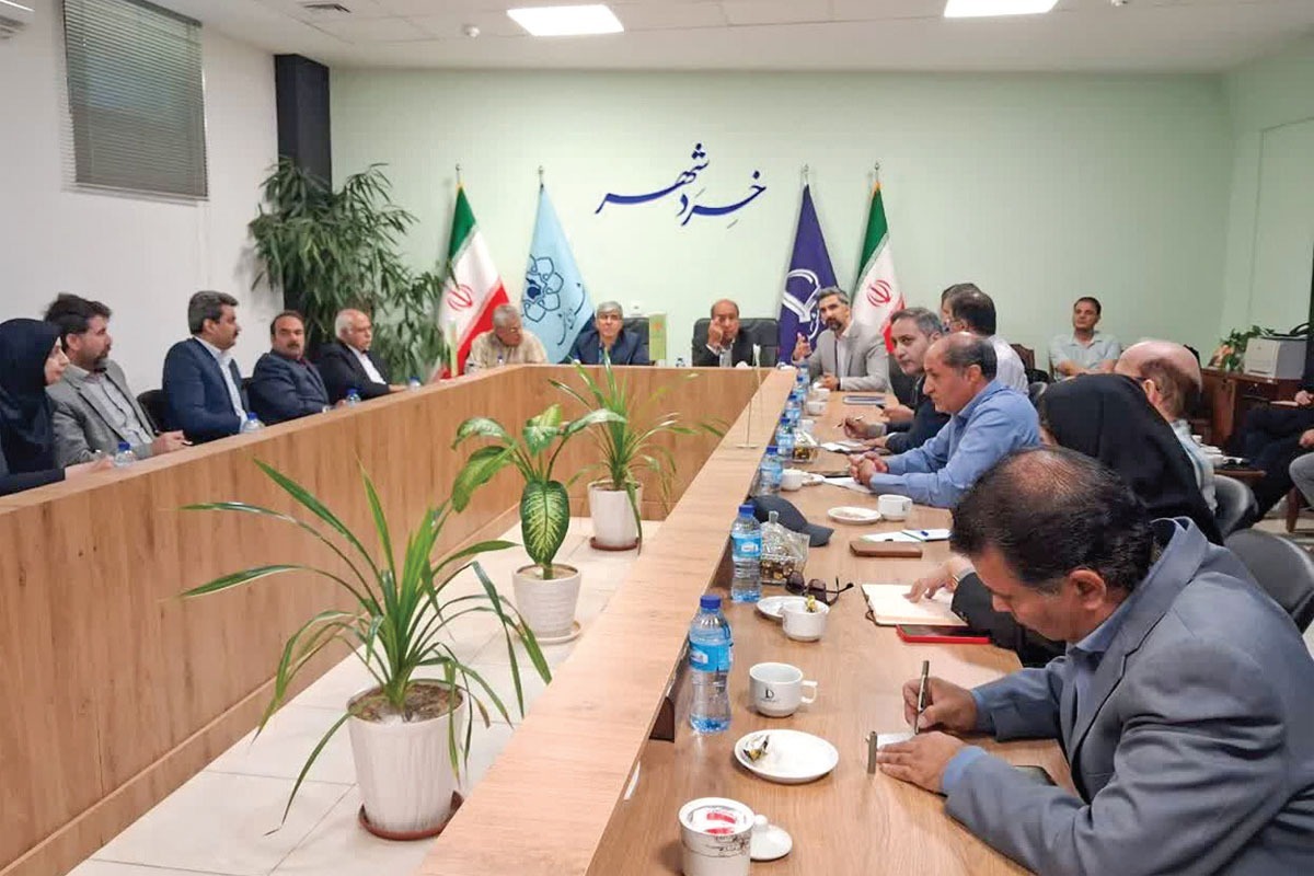 کاهش کانون‌های جوندگان در شهر مشهد از ۶۰ به ۸ کانون
