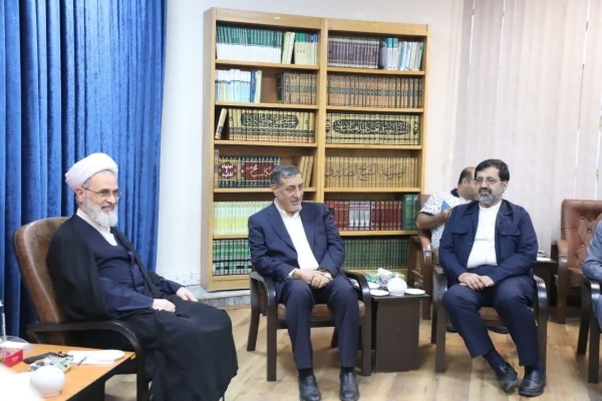 دیدار و گفت‌وگوی معاون‌اجرایی رئیس جمهور با آیت‌الله اعرافی