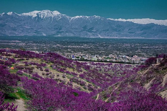 تپه‌های زیبای گلغندی در پروان افغانستان + عکس