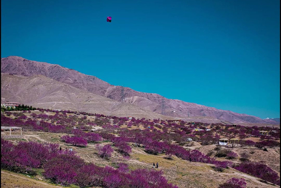 تپه‌های زیبای گلغندی در پروان افغانستان + عکس