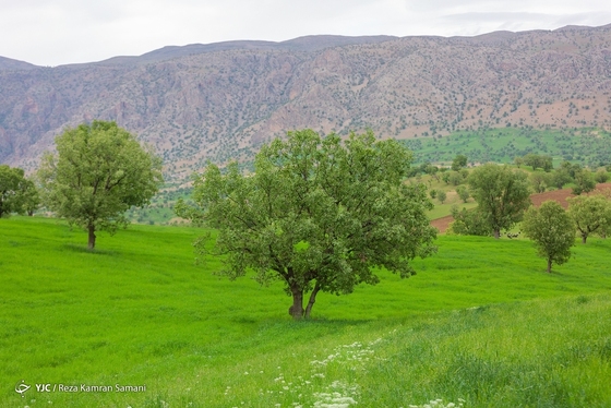 ایران زیباست | طبیعت چشم نواز بازفت - چهارمحال و بختیاری