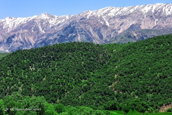 ایران زیباست | طبیعت چشم نواز بازفت - چهارمحال و بختیاری