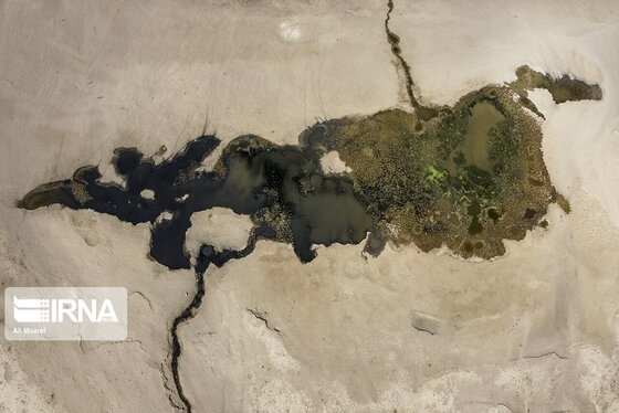 روزهای سخت تالاب هورالعظیم + عکس