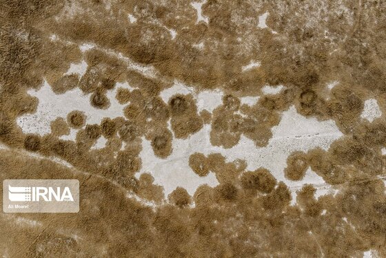 روزهای سخت تالاب هورالعظیم + عکس