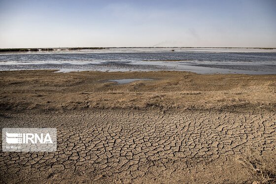 روزهای سخت تالاب هورالعظیم + عکس