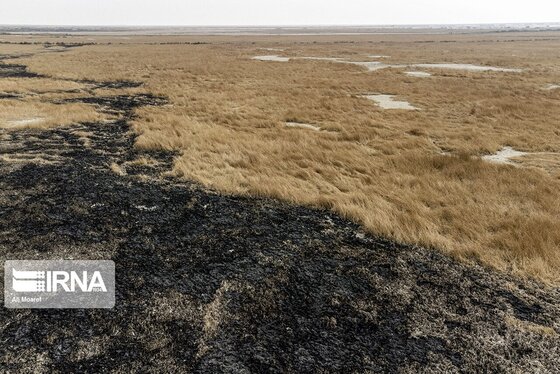 روزهای سخت تالاب هورالعظیم + عکس