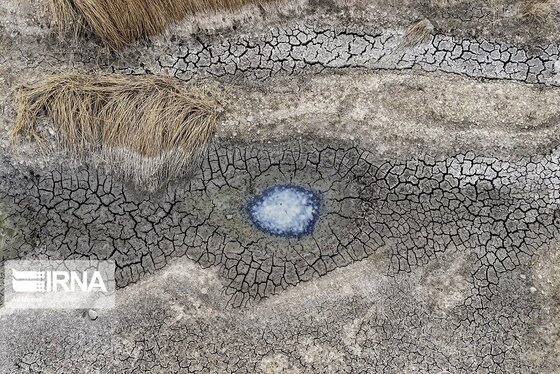 روزهای سخت تالاب هورالعظیم + عکس